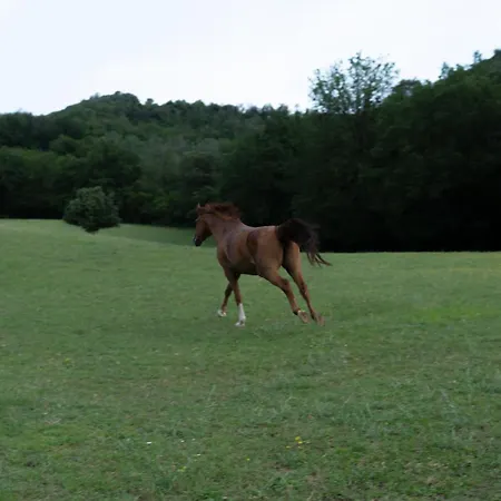 Farm stay La Fonte