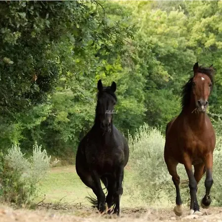 Séjour à la ferme La Fonte Pérouse